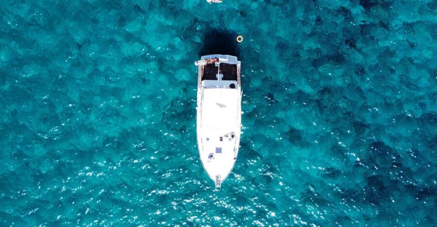 Las Galletas: Whale & Dolphin Tour with Local Skipper - Should you book the Las Galletas whale and dolphin cruise?