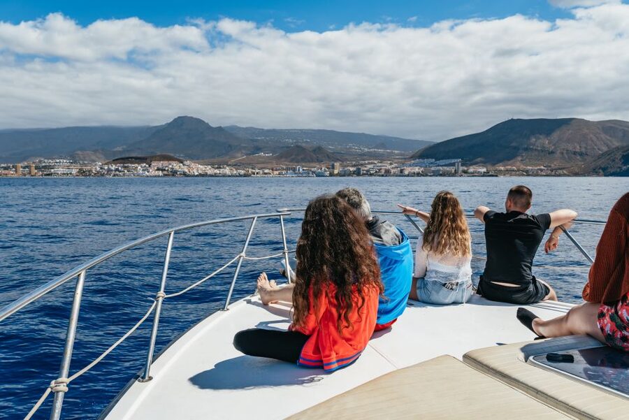 Las Galletas: Whale & Dolphin Tour with Local Skipper - Returning past Punta de Rasca and the southern coast