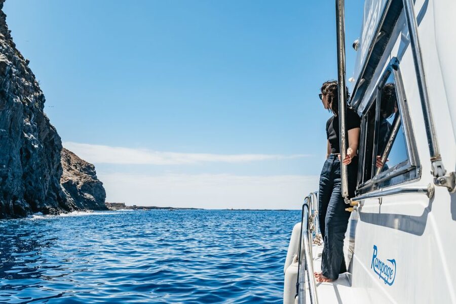 Las Galletas: Whale & Dolphin Tour with Local Skipper - How the small group changes the experience
