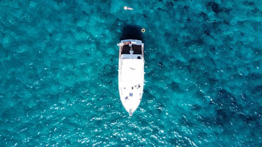 Las Galletas: Whale & Dolphin Tour with Local Skipper - Who should book this cruise