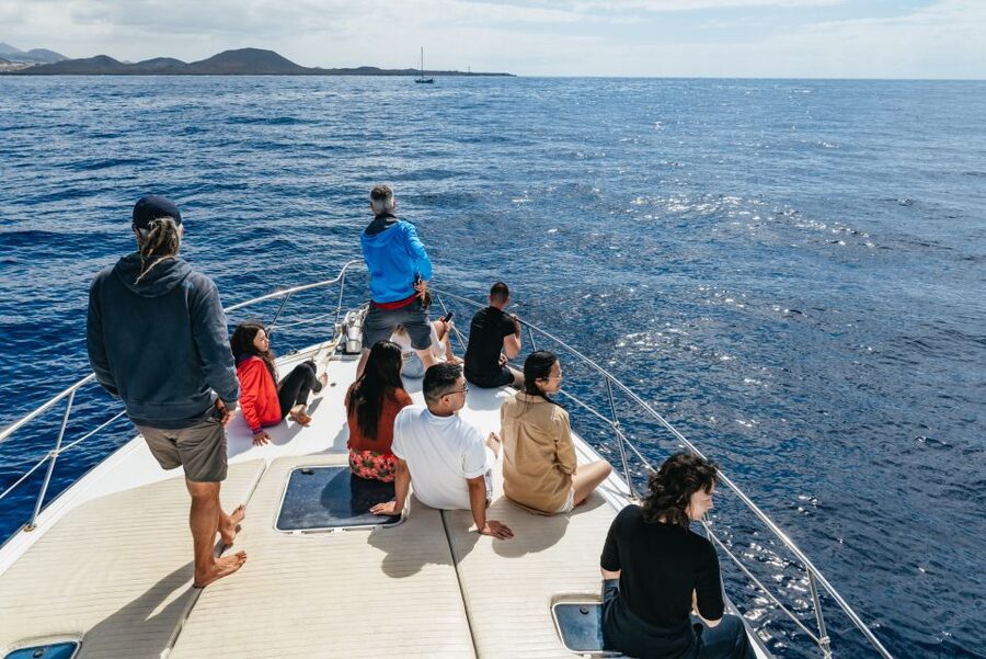 Las Galletas: Whale & Dolphin Tour with Local Skipper - Practical advice for a smoother day