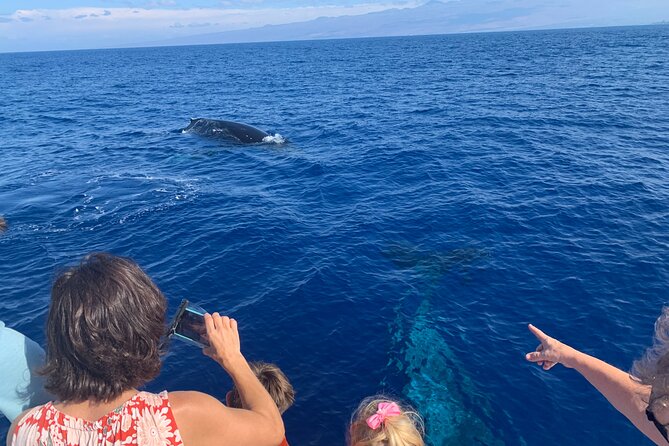 Late Morning Whale Watch Cruise on Seasmoke - Why the Kohala Coast Is a Good Place to Watch Whales
