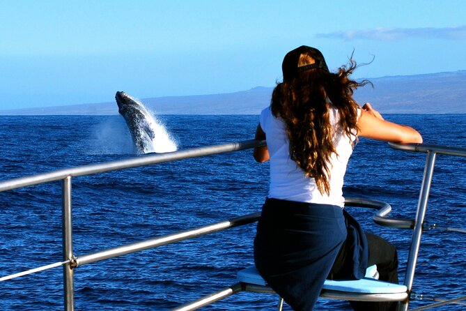 Late Morning Whale Watch Cruise on Seasmoke - Boarding Seasmoke at Waikoloa