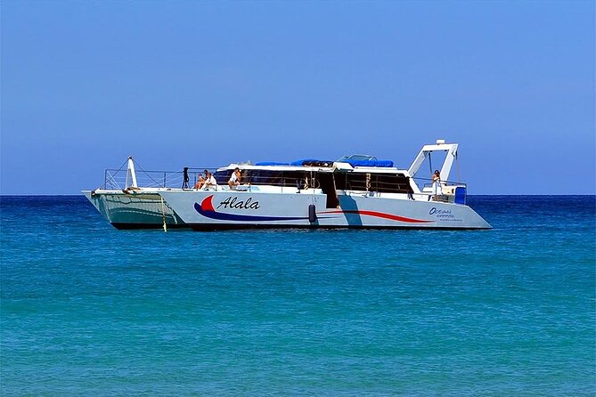 Late-Morning Whale Watch on our Power Catamaran - Weather, cancellations, and the practical fine print