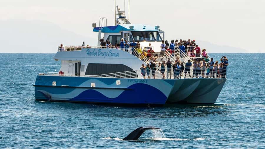 Long Beach: Whale and Dolphin Watching Cruise - Leaving Long Beach with Harbor Breeze