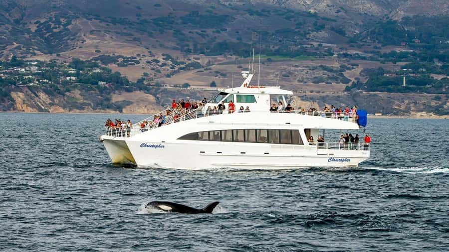 Long Beach: Whale and Dolphin Watching Cruise - Following the harbor toward the Pacific