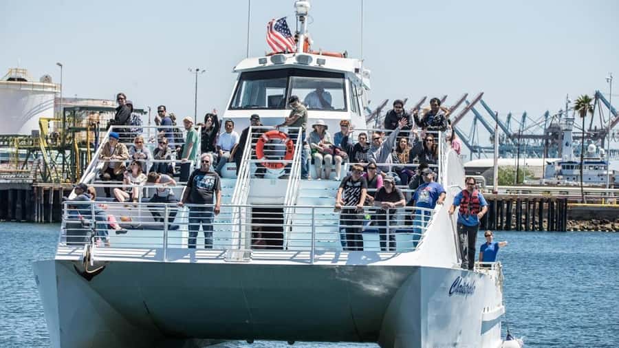 Long Beach: Whale and Dolphin Watching Cruise - Cold weather, restrooms, and small practical details
