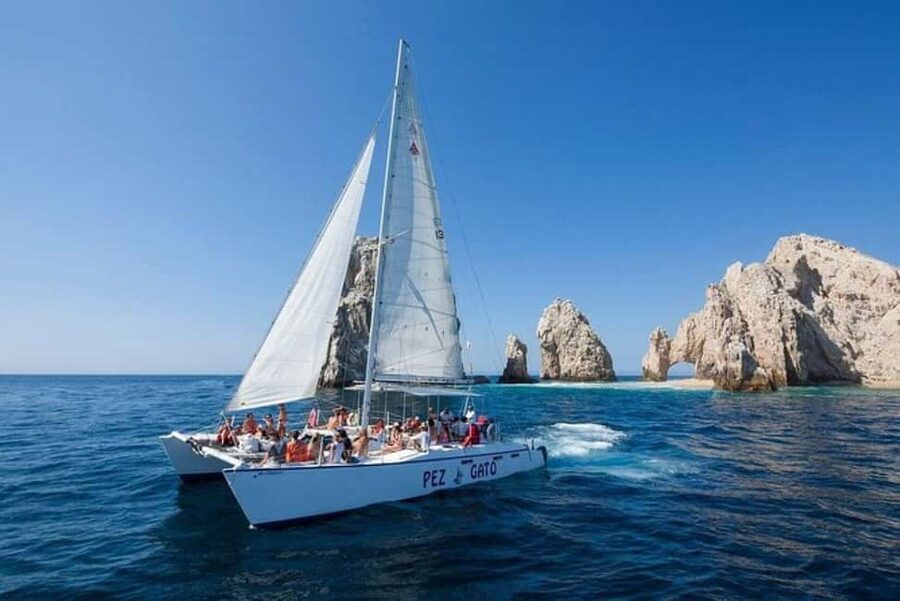 Los Cabos: Catamaran Whale Watching Cruise - Why this Cabo whale cruise works well