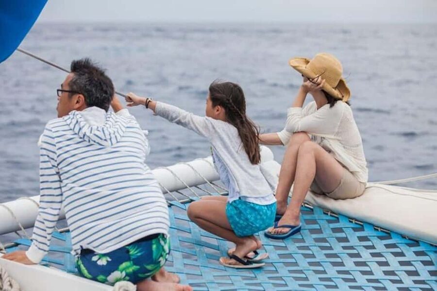Los Cabos: Catamaran Whale Watching Cruise - Whale watching with gray, humpback, and blue whales