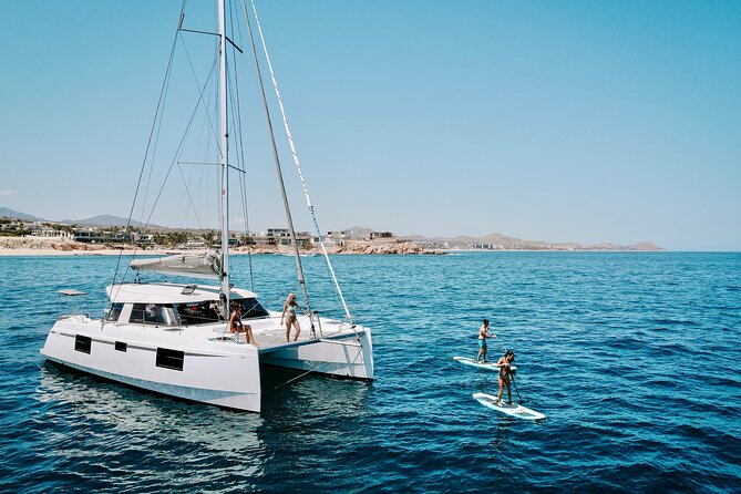 Los Cabos Seasonal Whale Watch and Snorkel Tour - Key points before you book