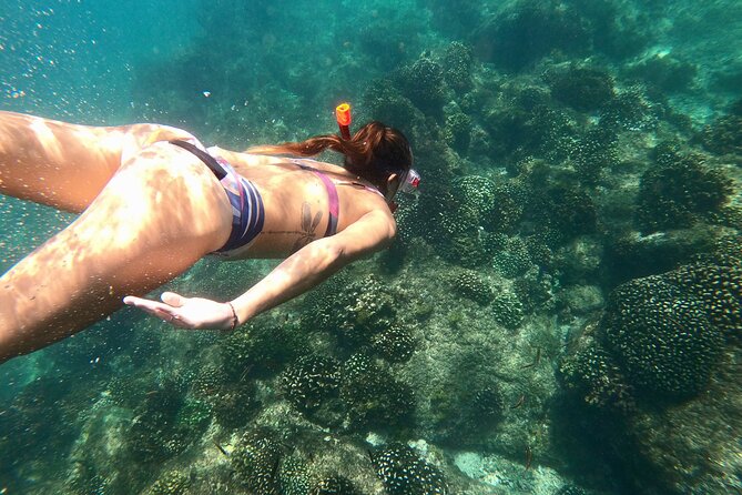 Los Cabos Seasonal Whale Watch and Snorkel Tour - Boarding at the marina and leaving your shoes behind