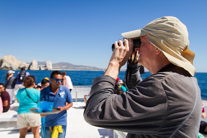 Los Cabos Whale Watching Cruise Including Breakfast - A lively boat, not a quiet wildlife skiff