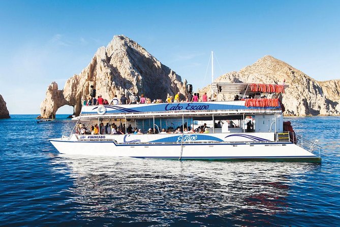 Los Cabos Whale Watching Cruise Including Breakfast - Searching for whales in the Sea of Cortez