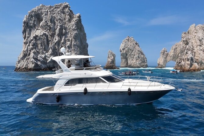 Los Cabos Whale Watching & Snorkel Adventure with Food & Drinks - Snorkeling, paddle boarding, and the floating mat