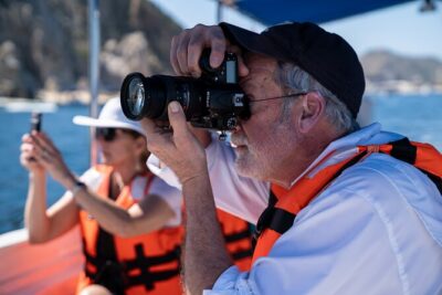 Los Cabos Whale Watching (Transportation and Pictures Included)