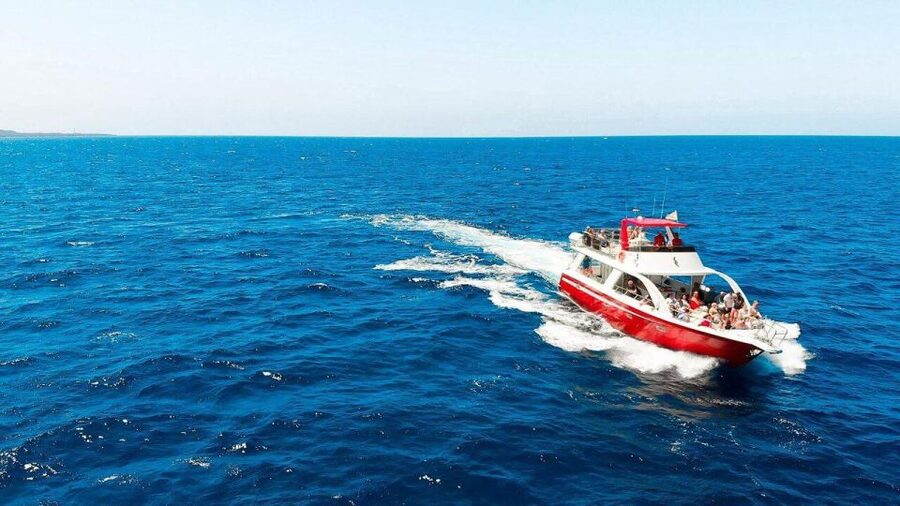 Los Cristianos: Eco Yacht Whale Watching Tour at Sunset - Key points to know before you book