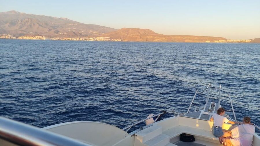 Los Cristianos: Eco Yacht Whale Watching Tour at Sunset - FAQ