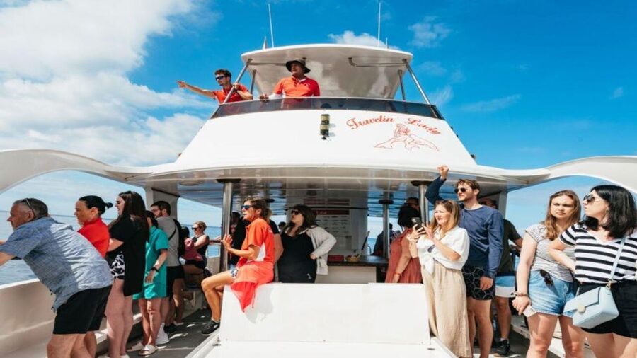 Los Cristianos: Eco Yacht Whale Watching Tour at Sunset - Around 20 minutes of wildlife watching