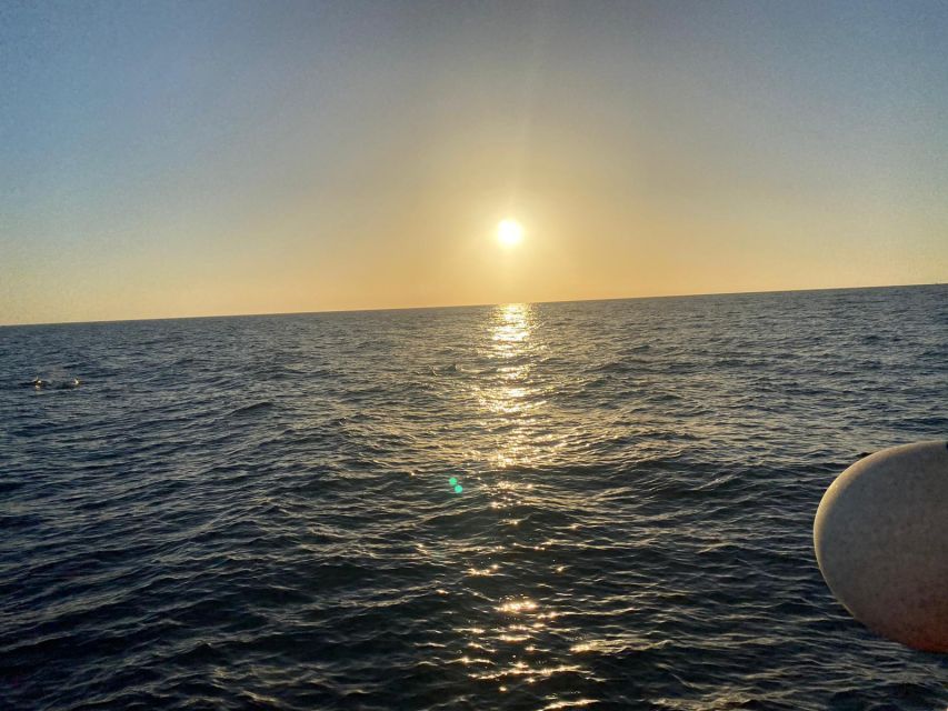 Los Cristianos: Eco Yacht Whale Watching Tour at Sunset - Who will enjoy this short cruise most?