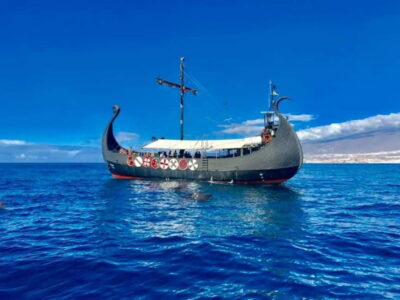 Los Cristianos: Viking Cruise Whales & Dolphins Watching