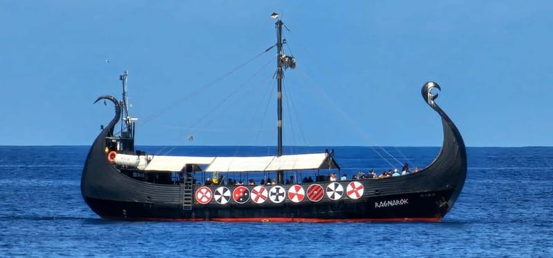 Los Cristianos: Whale Watching Cruise w/Swim Stop & Drinks - Included drinks, optional food, and the real value of $91