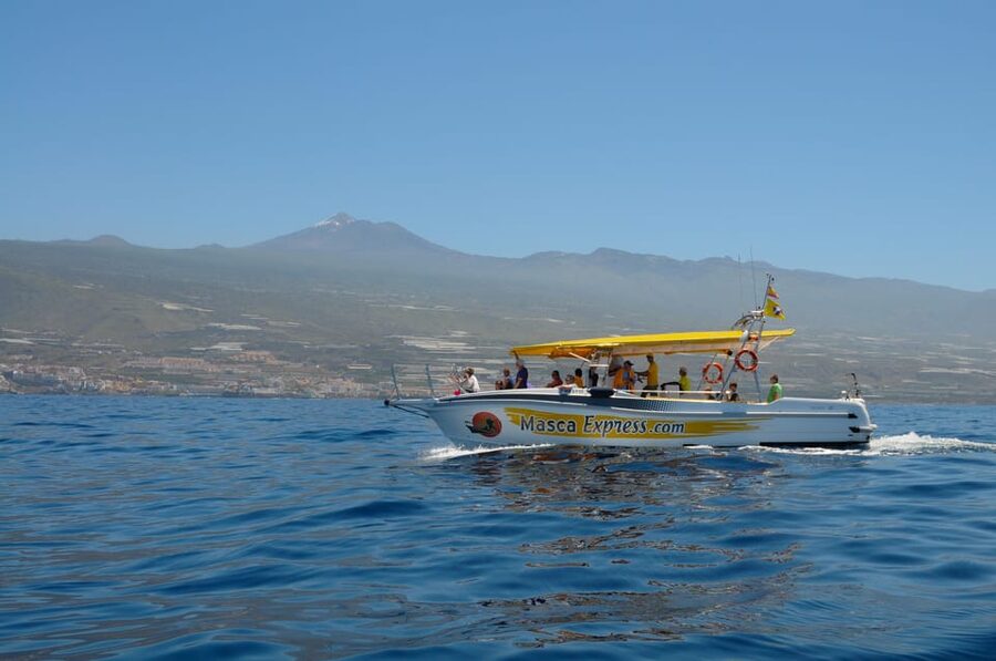 Los Gigantes: Dolphin & Whale Watching Cruise with Swim Stop - Leaving Los Gigantes Port on the Masca Express