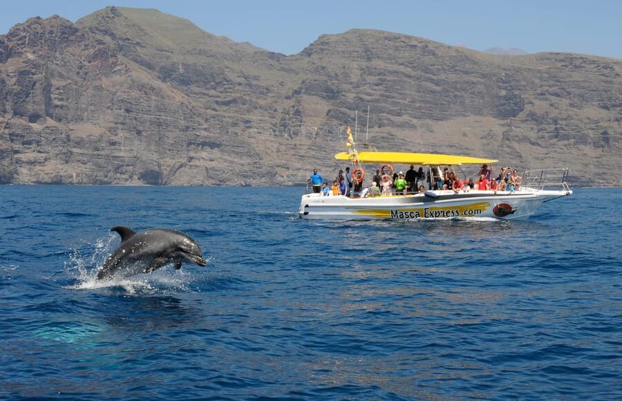 Los Gigantes: Dolphin & Whale Watching Cruise with Swim Stop - Passing beneath the cliffs of Los Gigantes