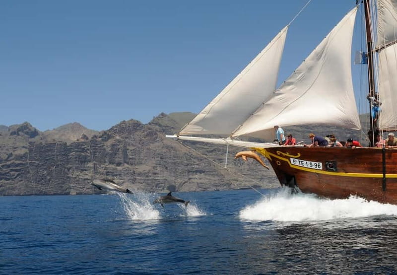 Los Gigantes: Dolphin & Whale Watching Tour on a Pirate Boat - Key points to know before booking