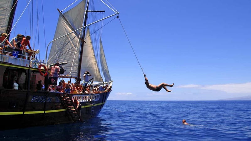 Los Gigantes: Dolphin & Whale Watching Tour on a Pirate Boat - Crowding, comfort, and practical limits