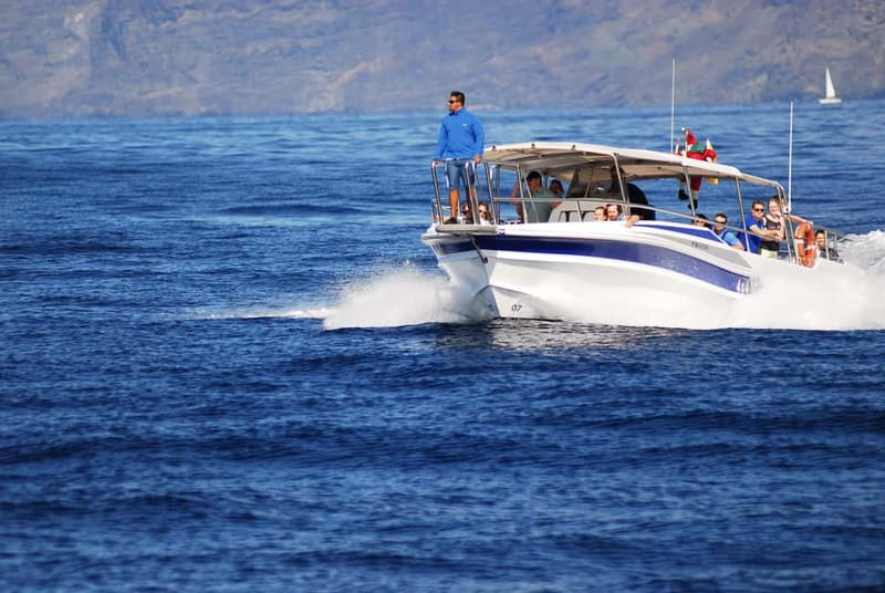 Los Gigantes: Whale or Dolphin Watching Tour and Swim in Masca - Key points to know before booking