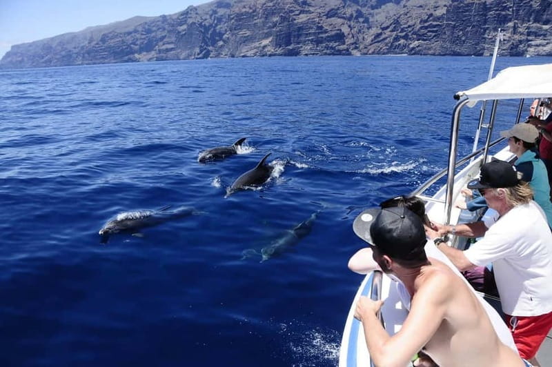 Los Gigantes: Whale or Dolphin Watching Tour and Swim in Masca - Setting out from Los Gigantes port