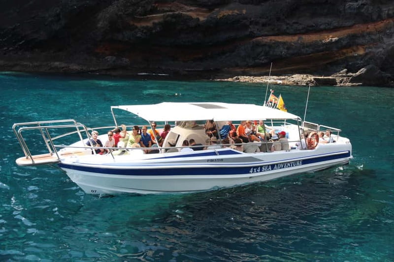 Los Gigantes: Whale or Dolphin Watching Tour and Swim in Masca - Searching for pilot whales and dolphins