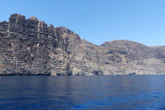 Los Gigantes Whale Watching Charter by Sail Boat - Price, timing, and practical value