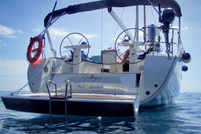 Los Gigantes Whale Watching Charter by Sail Boat - Should you book the Los Gigantes sailing charter?