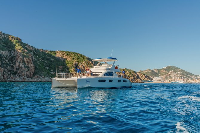 Luxury Catamaran Whale Watching Cabo San Lucas - A polished morning on the water