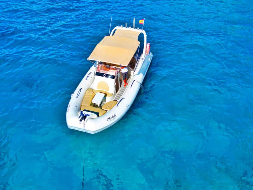 Luxury EcoMarine Safari – Whale & Dolphin Watching Adventure - The Return Sail and One Simple Drink