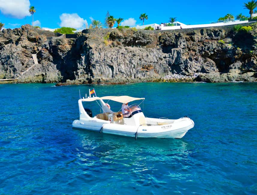 Luxury EcoMarine Safari – Whale & Dolphin Watching Adventure - Eco-Friendly Choices That Have Real Meaning