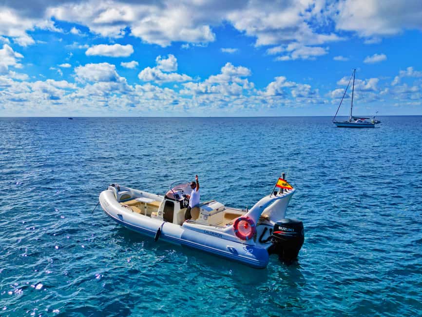 Luxury EcoMarine Safari – Whale & Dolphin Watching Adventure - Is $112 a Fair Price?