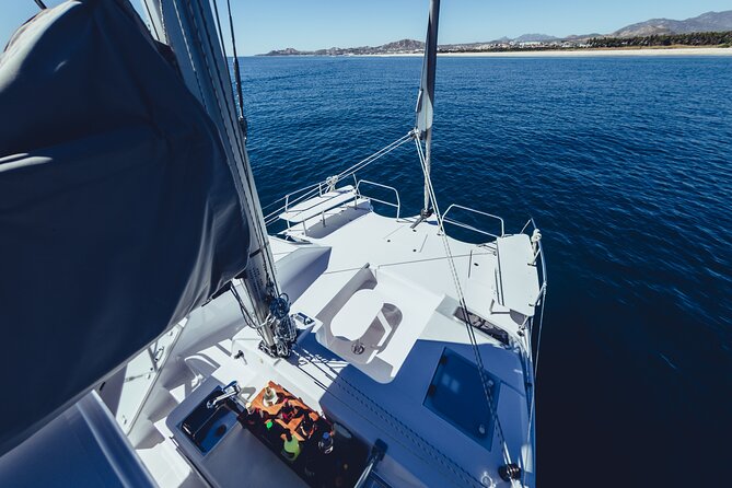 Luxury Whale Watch Cruise to The Arch Los Cabos - A small catamaran with room to watch