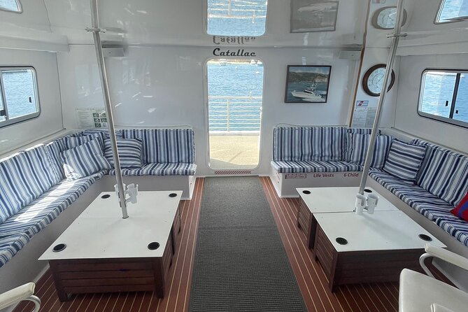 Luxury Whale Watching: Fewer People, Extra Speed, Expert Staff - Picking the best place to sit