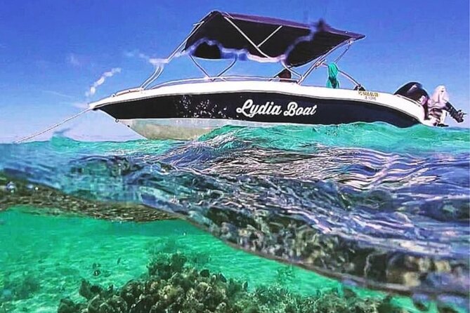 Lydia Boat Mauritius :Private boat tour:Whales&Dolphins encounter - Key details before you book
