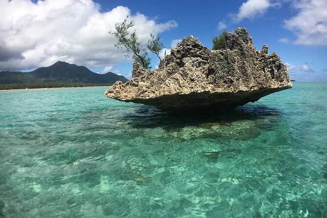 Lydia Boat Mauritius :Private boat tour:Whales&Dolphins encounter - Practical packing and planning advice