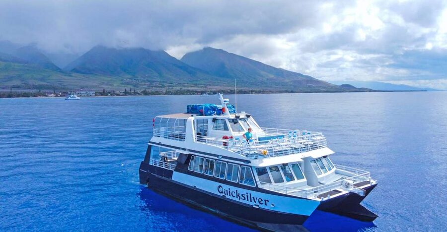 Ma'alaea Harbor: Whale Watching Tour Aboard Power Catamaran - Key points to know before booking