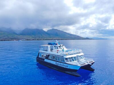 Ma’alaea Harbor: Whale Watching Tour Aboard Power Catamaran