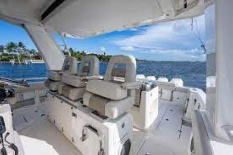 Maalaea: Small Group 2-Hour Whale Watch Experience - A crew that makes the difference