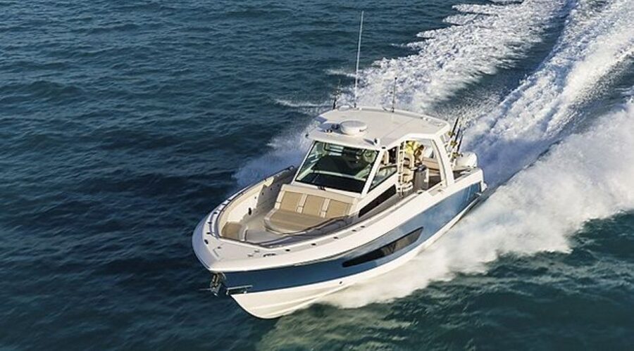 Maalaea: Small Group 2-Hour Whale Watch Experience - Who will enjoy this whale watch most?