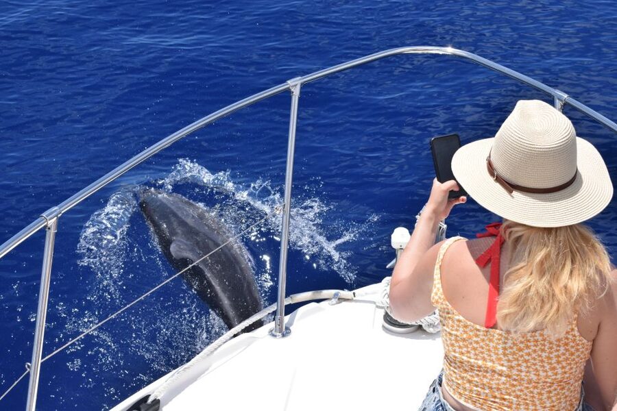 Madeira: 2.5-Hour Whale and Dolphin-Watching Cruise - Madeira’s southwestern coast from the water