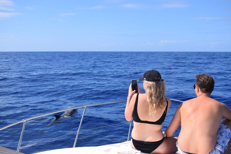 Madeira: 2.5-Hour Whale and Dolphin-Watching Cruise - Who will enjoy this most?
