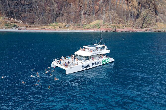 Madeira Dolphin and Whale Watching on a Ecological Catamaran - Quick points before you book