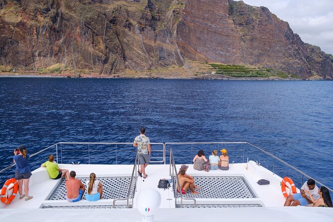 Madeira Dolphin and Whale Watching on a Ecological Catamaran - How the eco-catamaran changes the experience